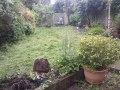 2012-06-18_09-35-21_321 2012-06-18_09-35-21_321
